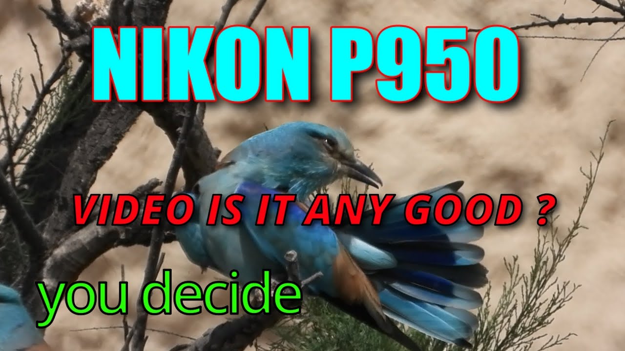 NIKON P950 camera ...is the video any GOOD ?  you DECIDE