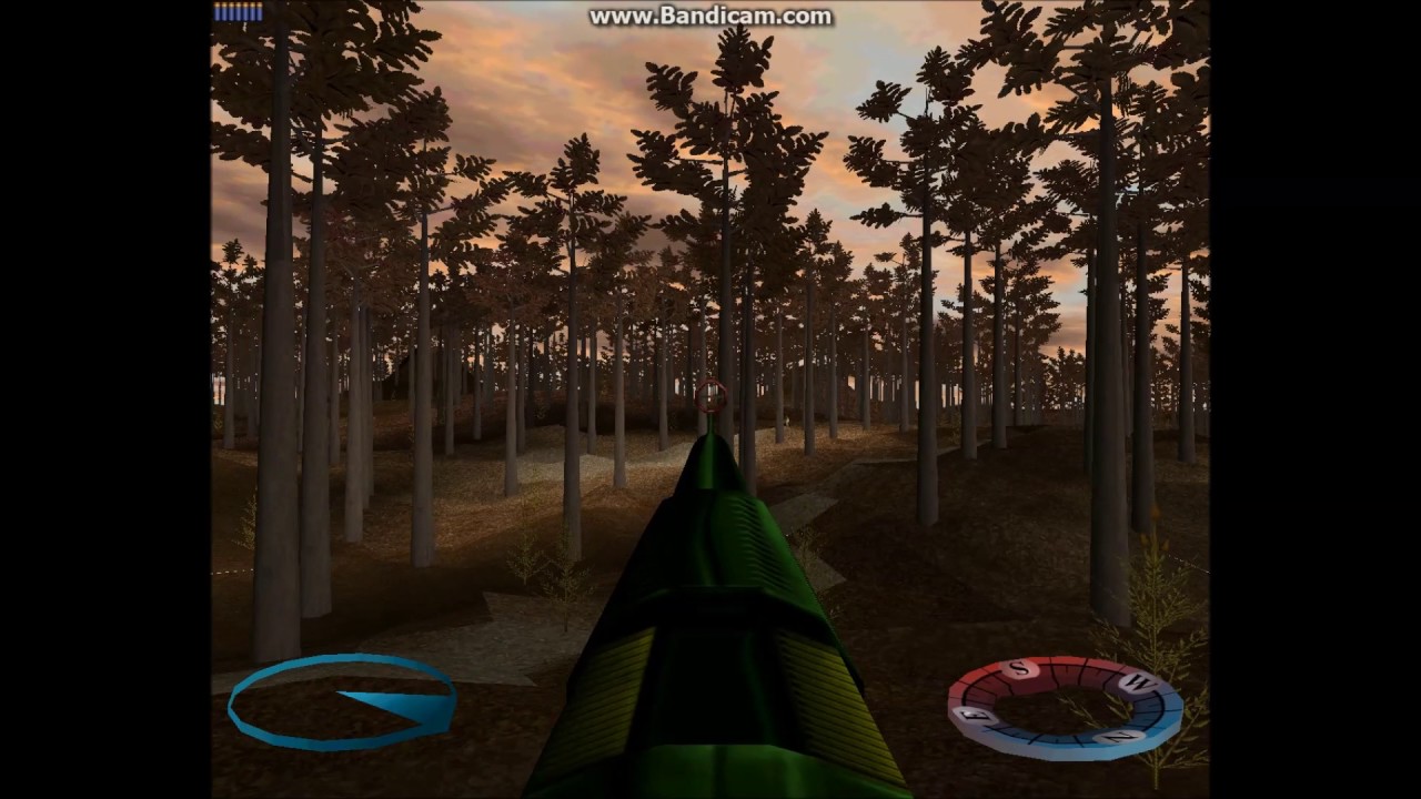 Hunting on carnivores abandoned islands