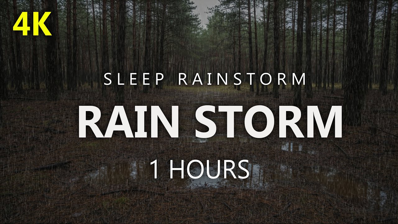 Heavy Rain In The Forest Helps You Fall Asleep Faster And Sleep More Soundly | 1 Hours I Relaxation