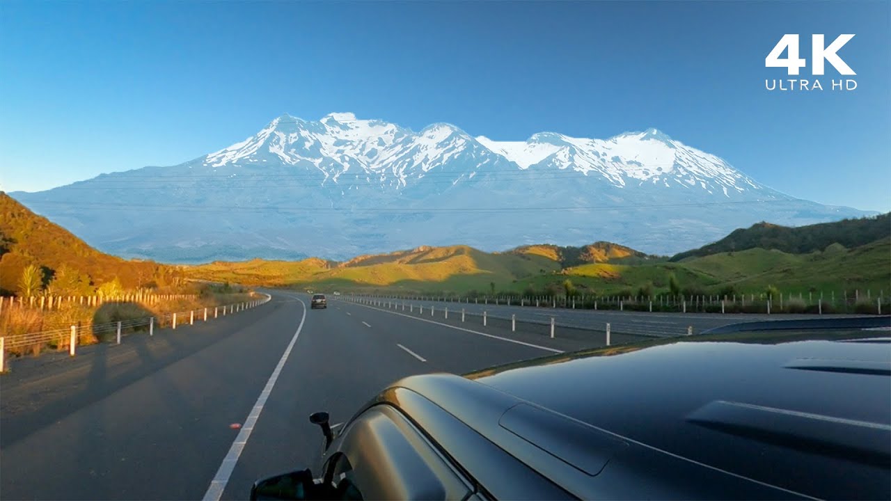 Scenic Driving in North Island, New Zealand - Country Roads, Farms, Forests [4K]