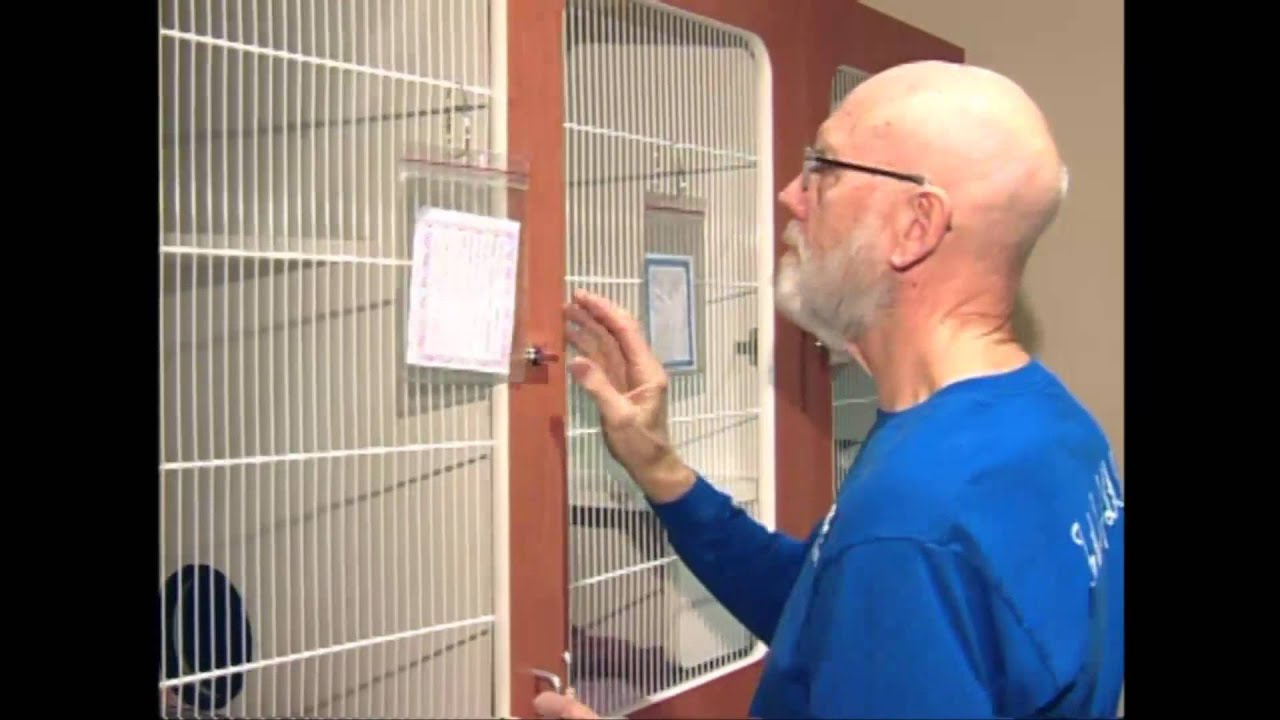 SPCA Volunteers