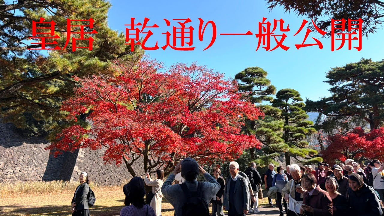 皇居・乾通り一般公開