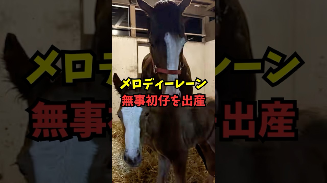 【かわええ】メロディーレーン、ベンバトル産駒の牝馬を出産