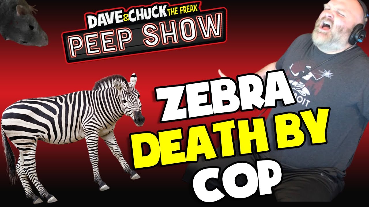 Zebra Death By Cop