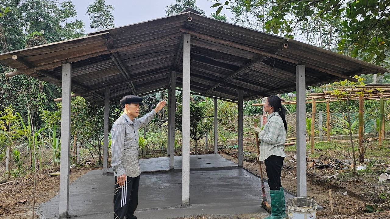 full video: 70 days to complete a girl's goat shed.