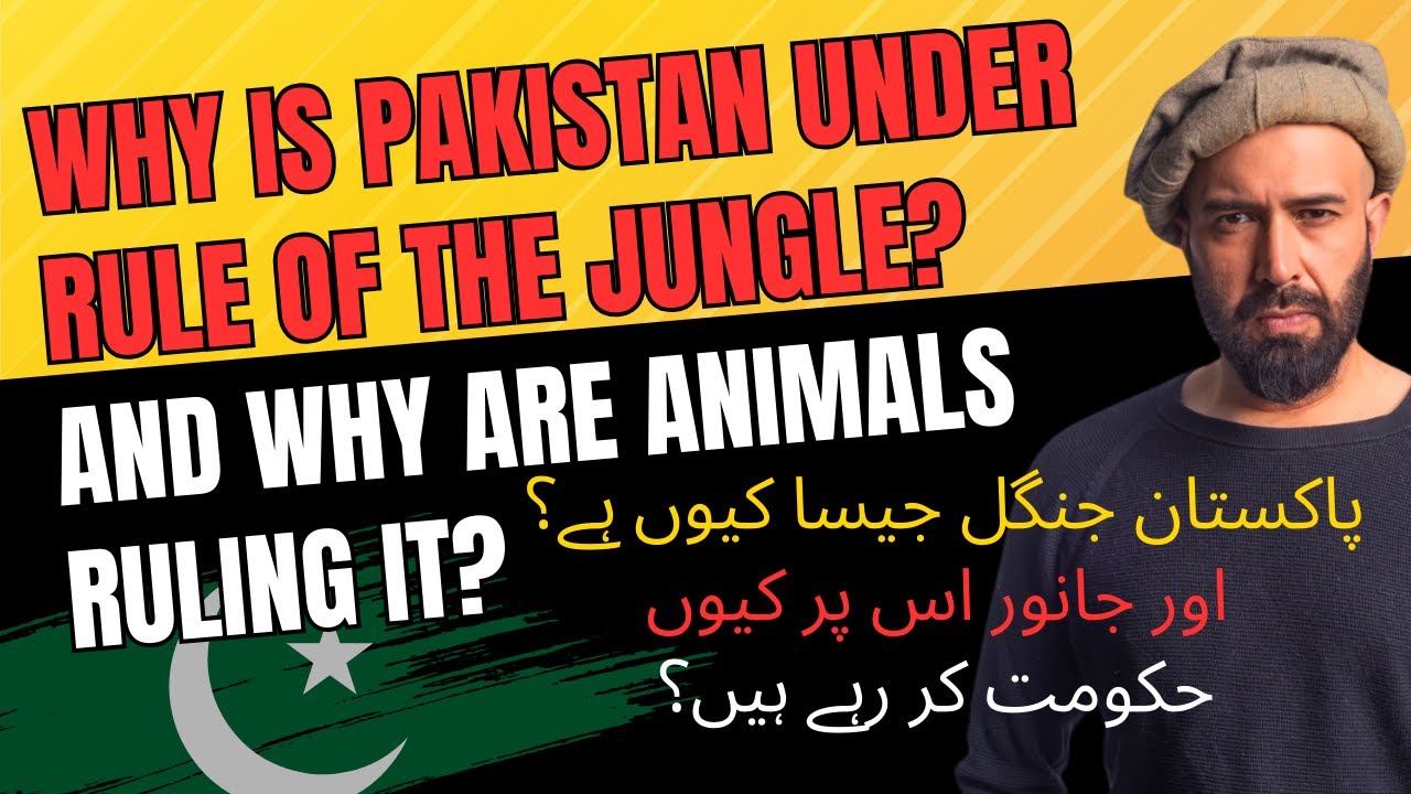 EXPLAINED - Why is Pakistan Under the Rule of the Jungle?