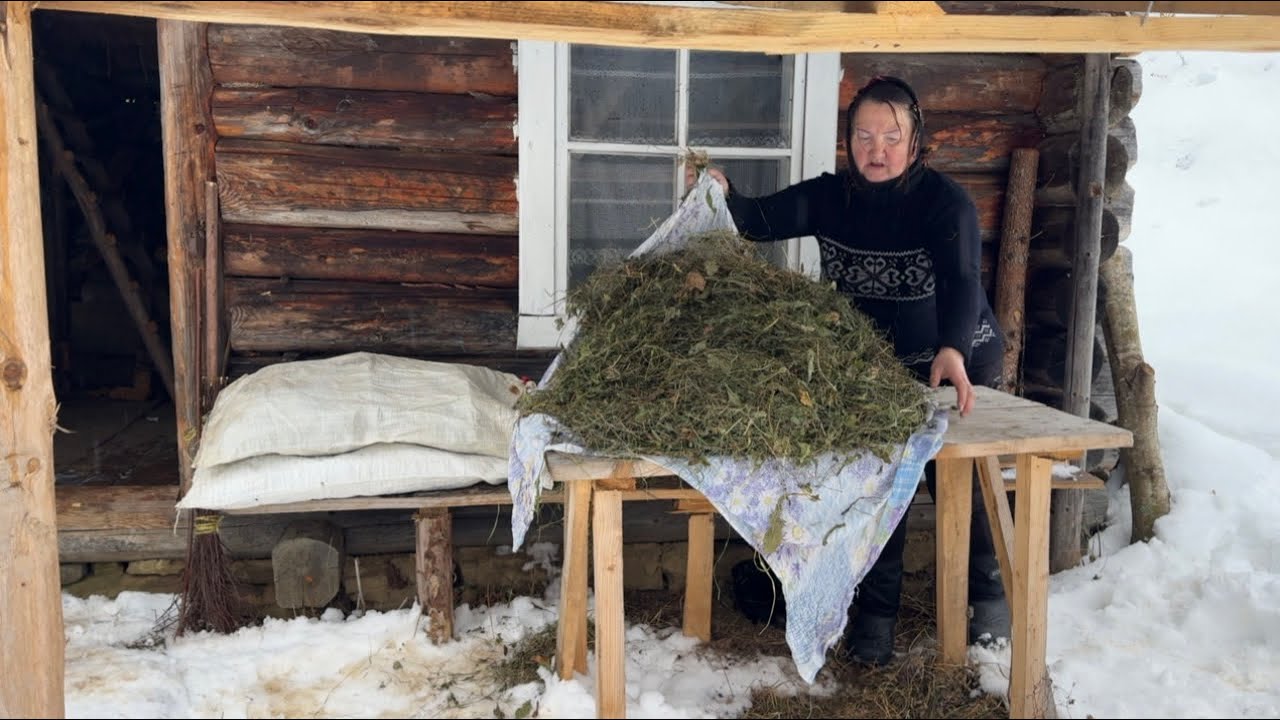 Real Village: A Woman Who Lives Alone in the Forest 🌲