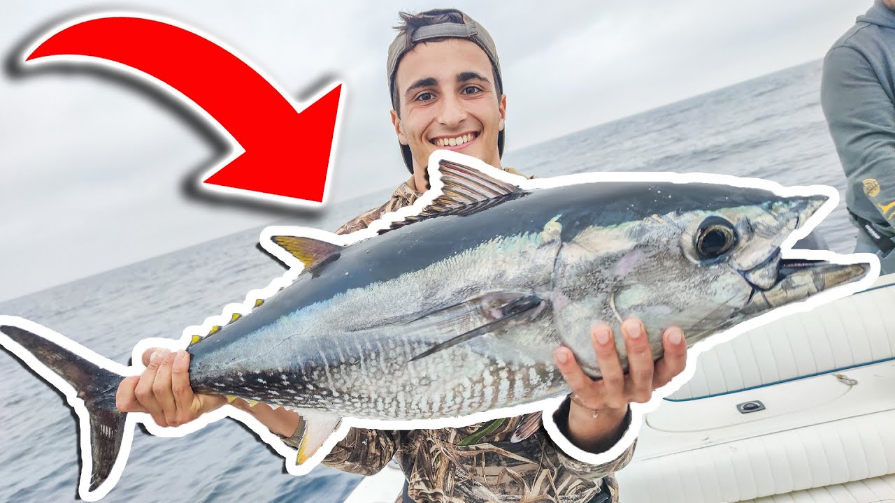 MES PREMIERS THONS ROUGES ! PÊCHE AU THON !