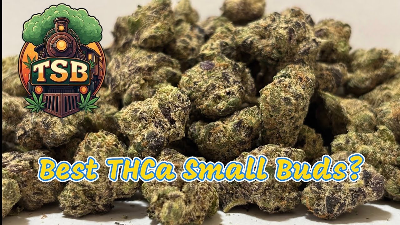 Best THCA Flower 2026? Small Buds, Big Value!