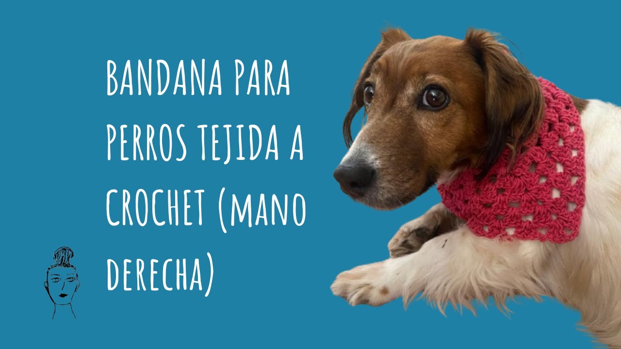 Bandana para perros y gatos, tejida a crochet. Tutorial paso a paso