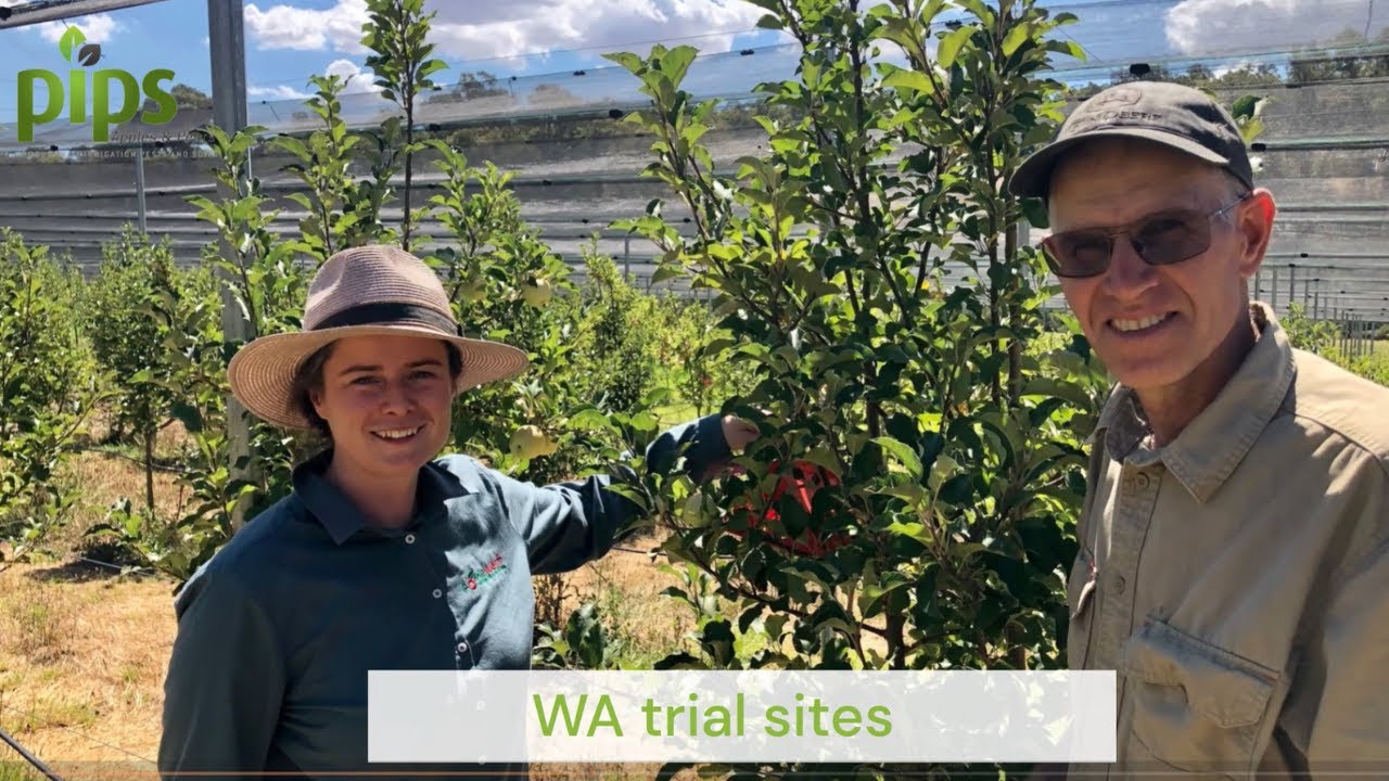 Integrated Pest and Disease Management in Western Australia  (AP22001) &ndash; PIPS 4 Profit