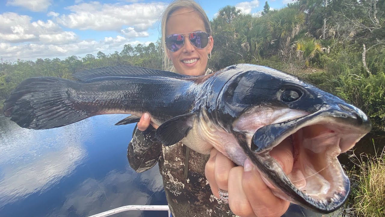 MUD-FISH & Wild Boar Trapping {Catch Clean Cook} Mudfish Mandalay