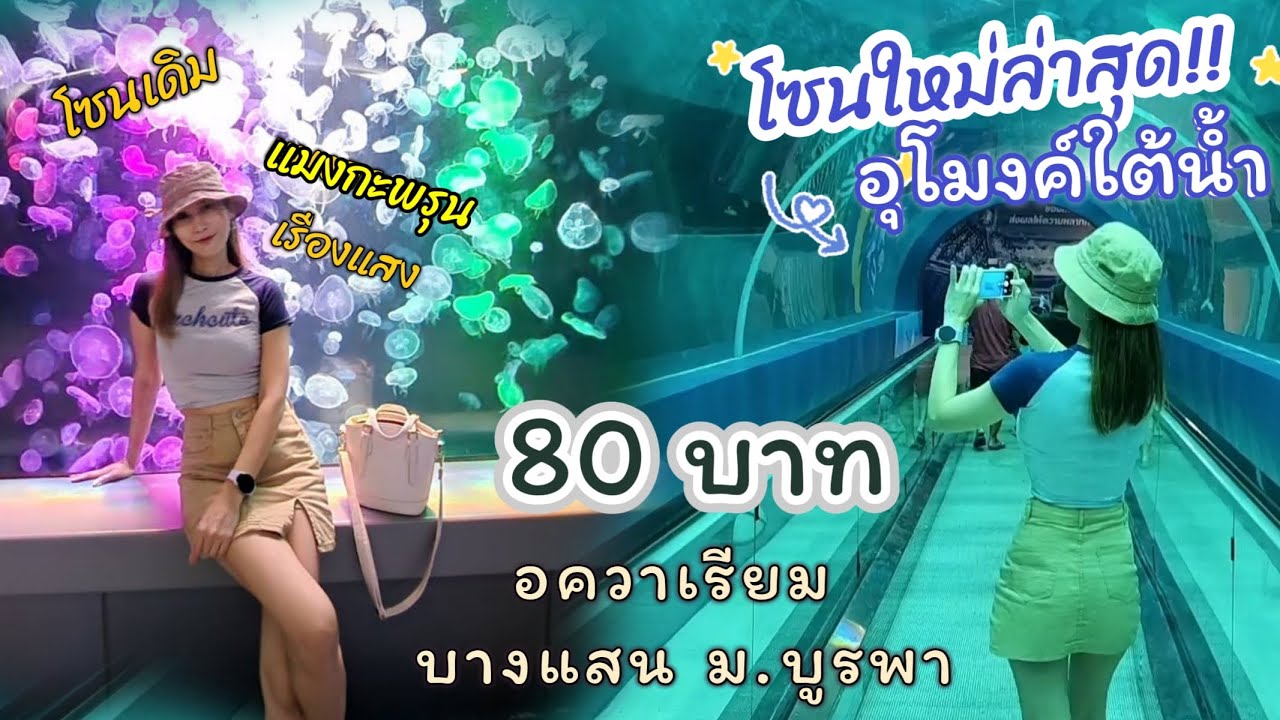 โซนใหม่! อควาเรียมบางแสน 80บาท​ พิพิธภัณฑ์​สัตว์​บางแสน​ ม.​บูรพา​ สถาบันวิทยาศาสตร์​ทางทะเล