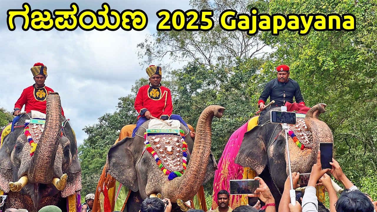 ಗಜಪಯಣ Gajapayana 2025 Mysuru Dasara begins frost batch of Dasara elephants arrives Mysore