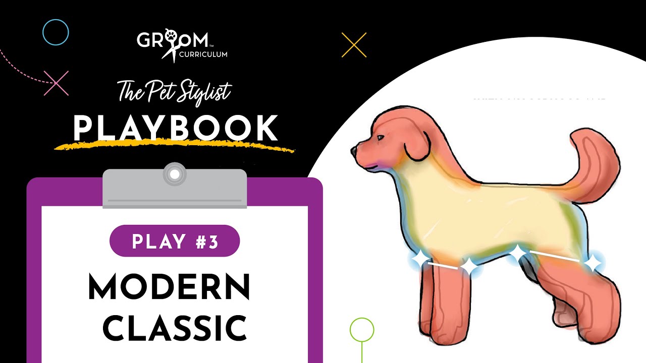 Dog Grooming Tutorial | Modern Classic Style (Pet Stylist Playbook #3)