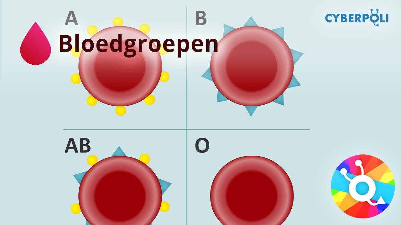 Bloedgroepen - Bloed
