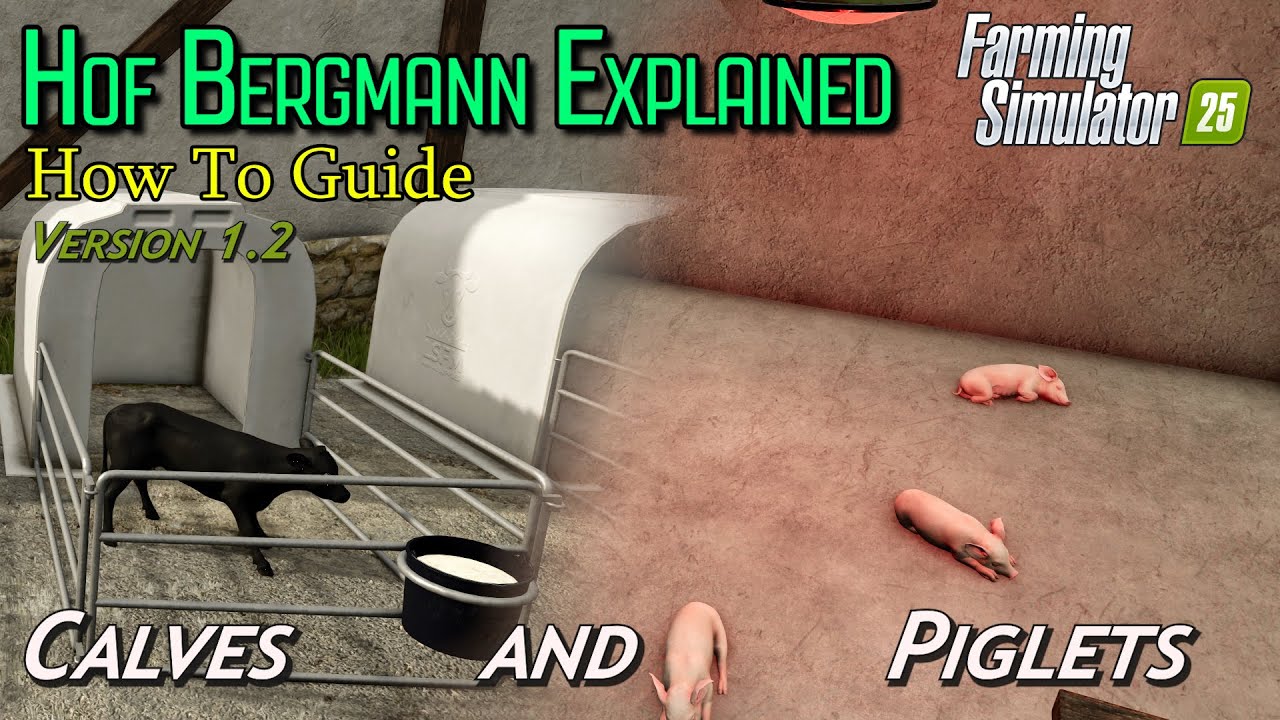 Piglets and Calves | Hof Bergmann V 1.2 | Farming Simulator 25