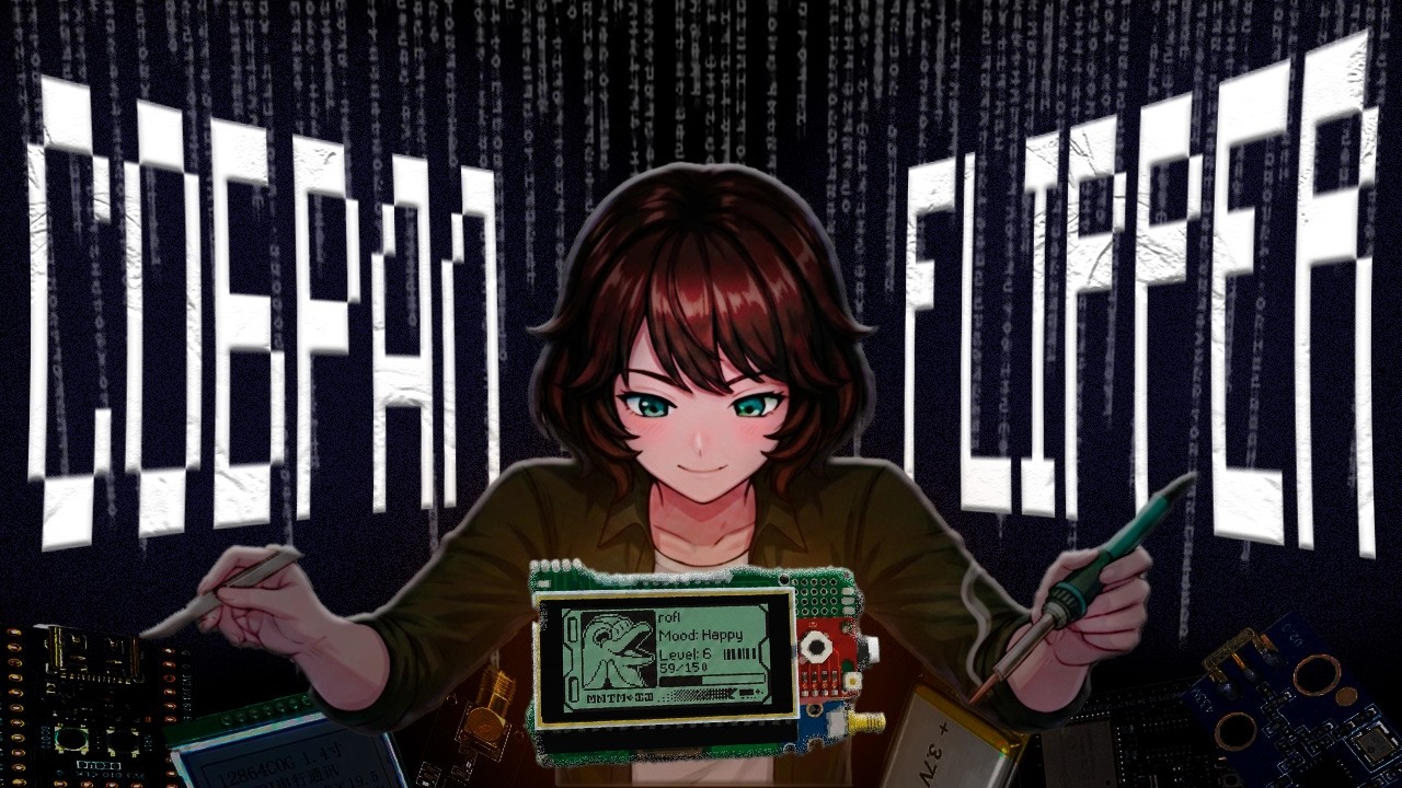 Собрал FLIPPER ZERO за 10$ (Он реально работает!)