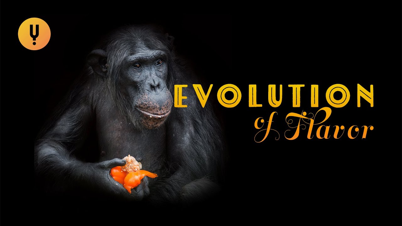 How Taste Evolved to Keep Us Alive
