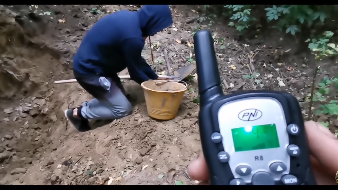 Ziua 38 la căsuța din pădure