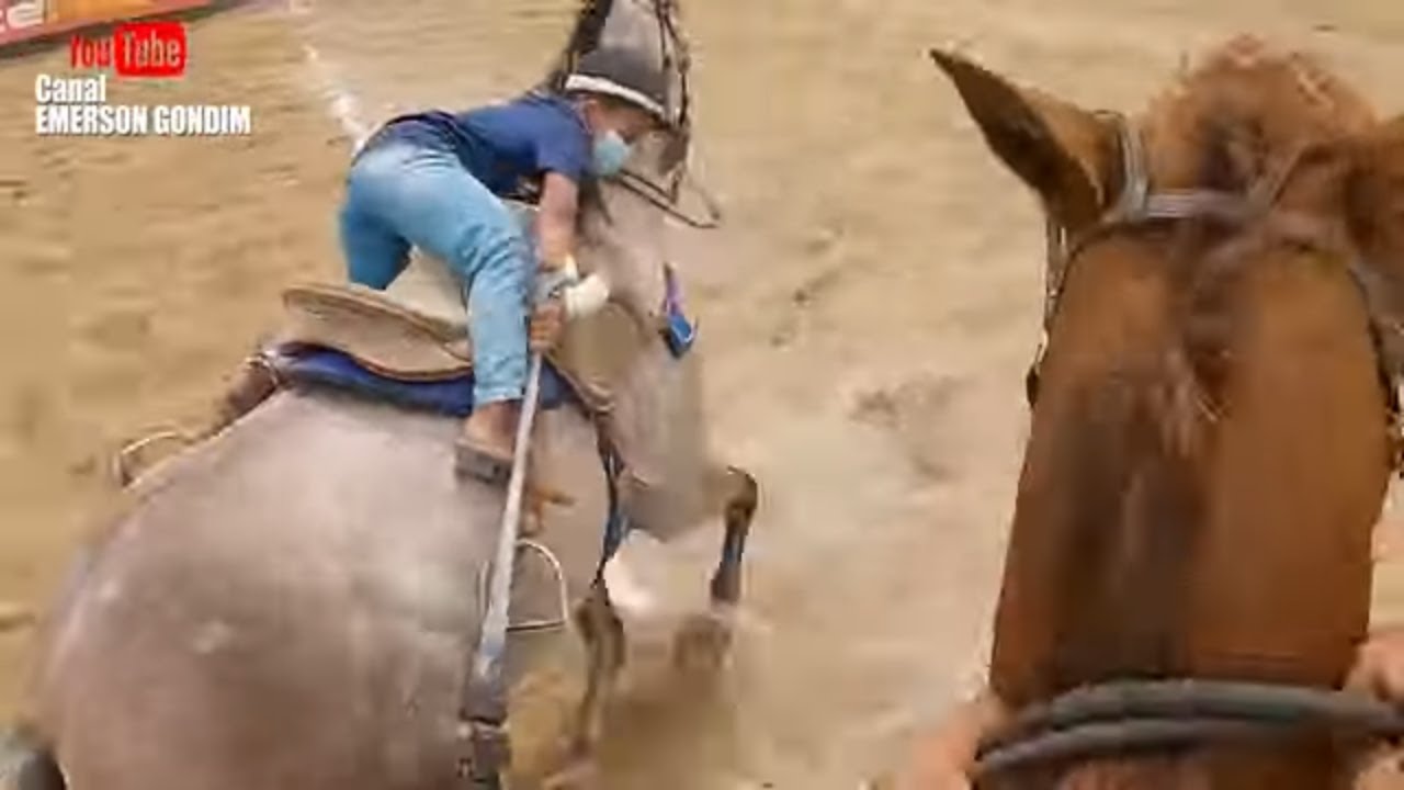 O VAQUEIRO LEVY DERRUBANDO BOI NA VAQUEJADA DO HARAS CURITIBA