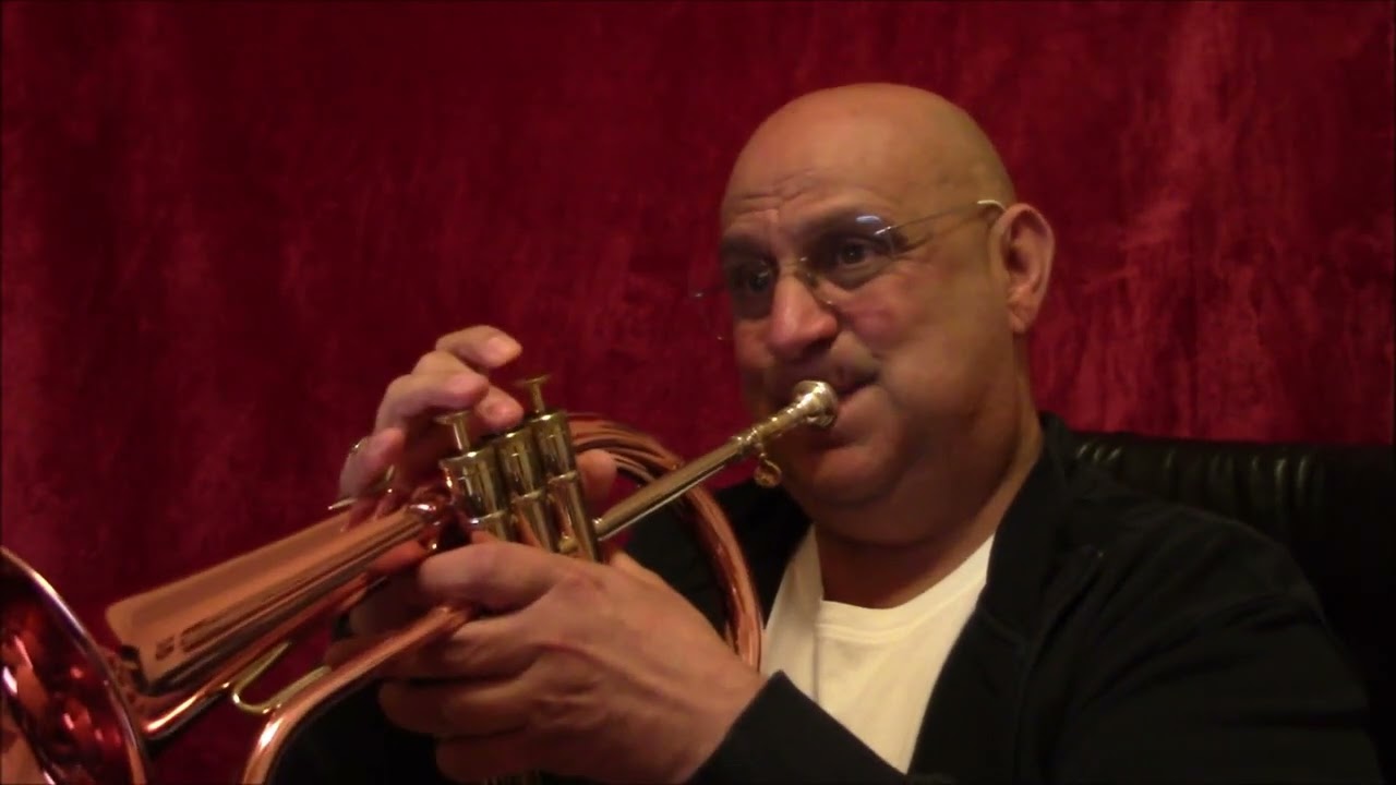 Fly me to the Moon (Bossa Nova Style)