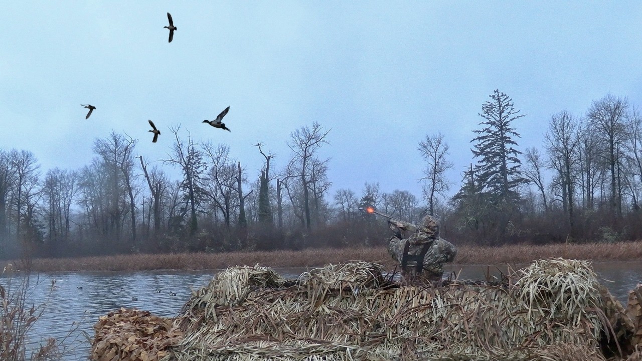 Solo Duck Hunting Adventure from the Boat Blind! (Shooting Struggles & Redemption Double)