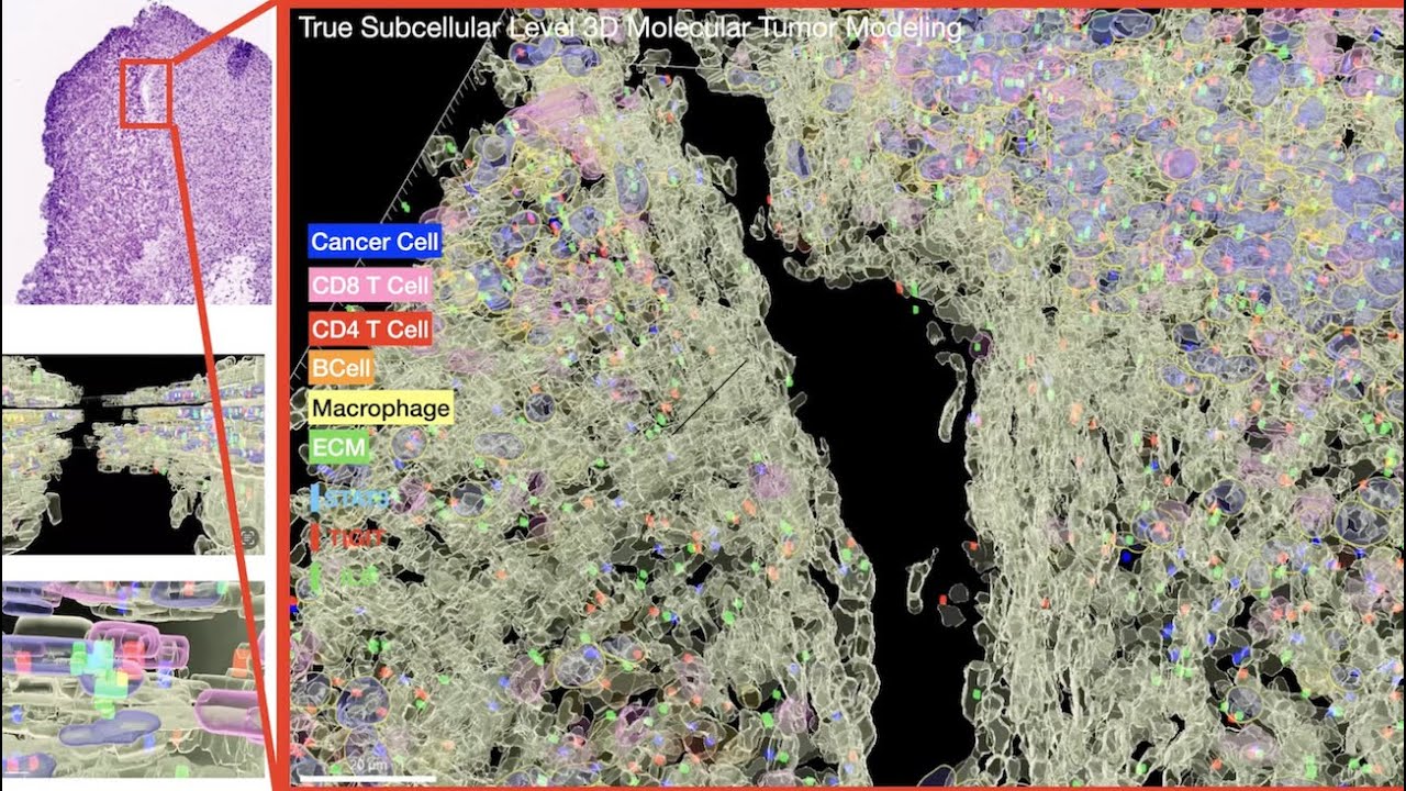 AI Driven 3D Molecular Modeling