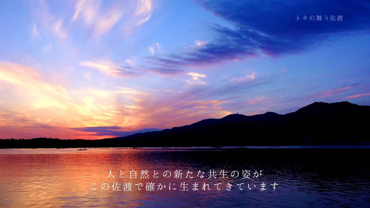 トキの舞う佐渡～トキ野生復帰2015～