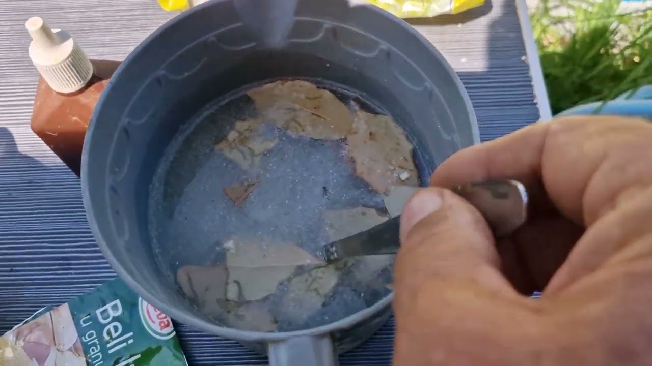 Ovim prihranite paradajz za bolje cvjetanje i sprečavanje opadanja cvjetova