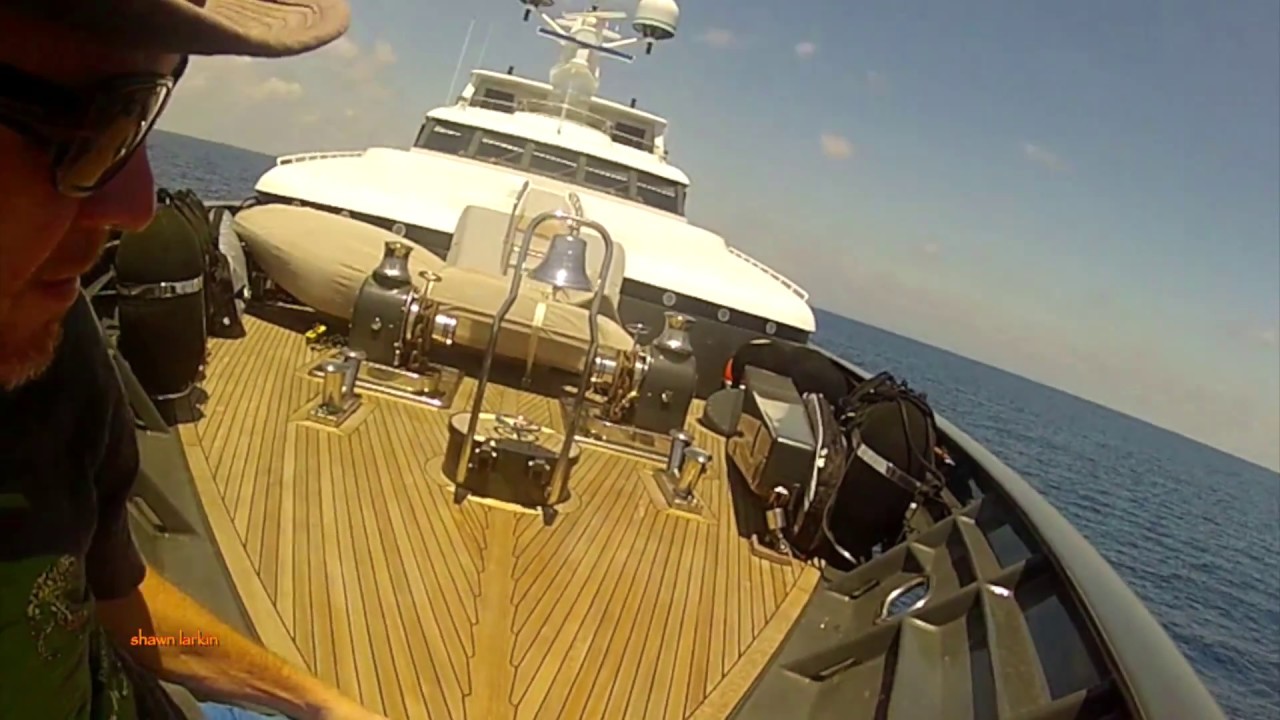 Dolphin Guides U2's Mega Yacht Costa Cetacea Media