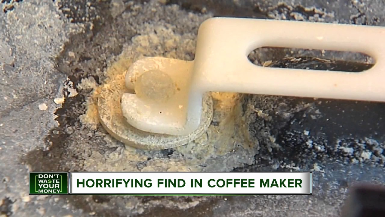 Horrifying find in coffee maker
