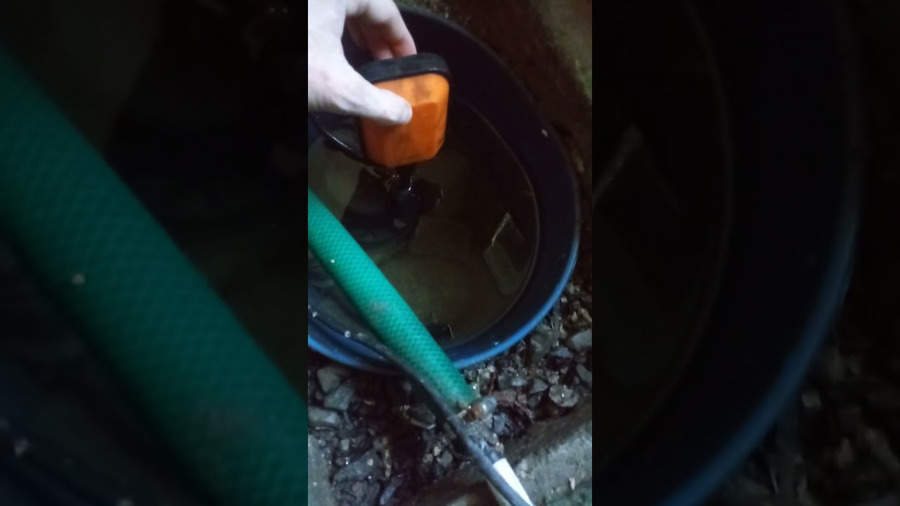 Śnieg topnieje - dużo wody sprawdz pompę z pływakiem czy sprawna jest.