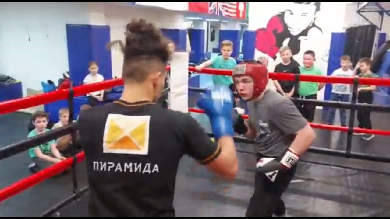 бокс спарринг Назар Дазуа vs Яков Трикоз russian adult boxing sparring