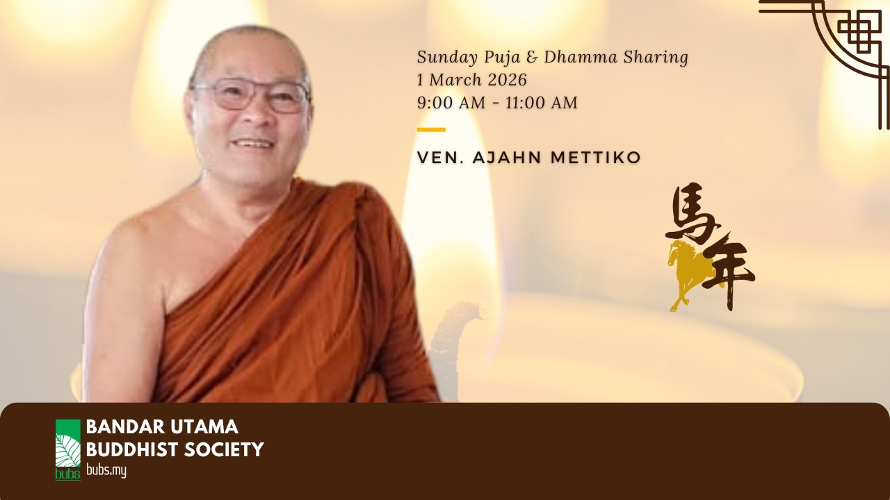 Riding the Horse to Look for the Horse - Dhamma Talk by Ven. Ajahn Mettiko