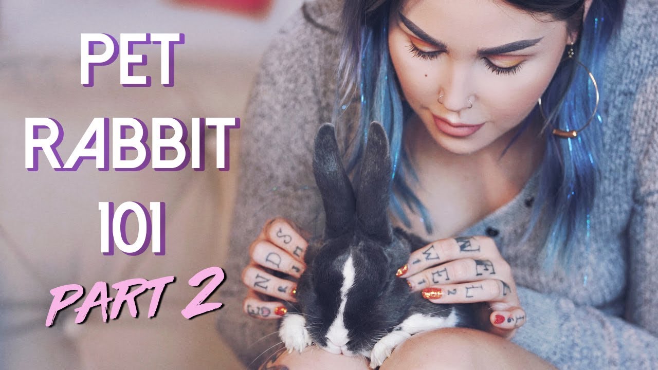 ARE RABBITS GOOD PETS?! Part 2: How To Care For Rabbits | KristenLeanneVlog
