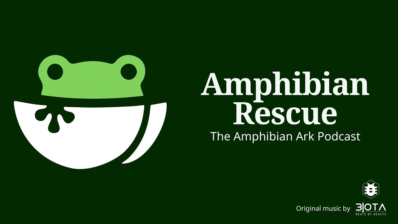 Amphibian Rescue | The Amphibian Ark Podcast Trailer
