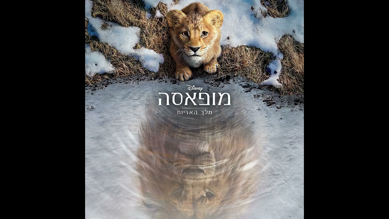 Mufasa The lion king - I Always Wanted A Brother(Hebrew)   (מופאסה מלך האריות)  Subs+Translation