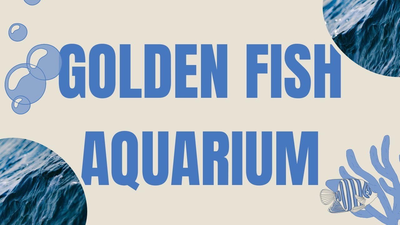 GOLDEN FISH AQUARIUM STORE | My Favourite Store as a Child!🐠 #trending #aquarium #explore