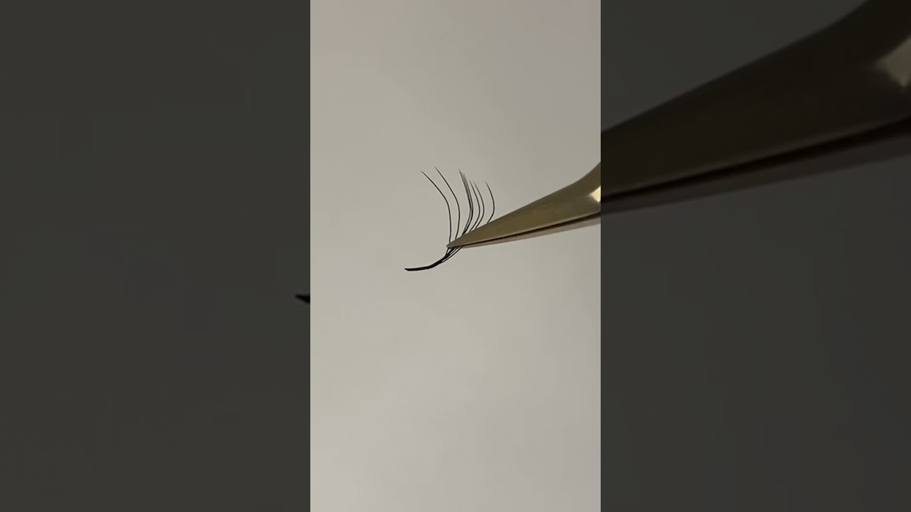 8D W Eyelash #nagaraku #beauty  #lashes