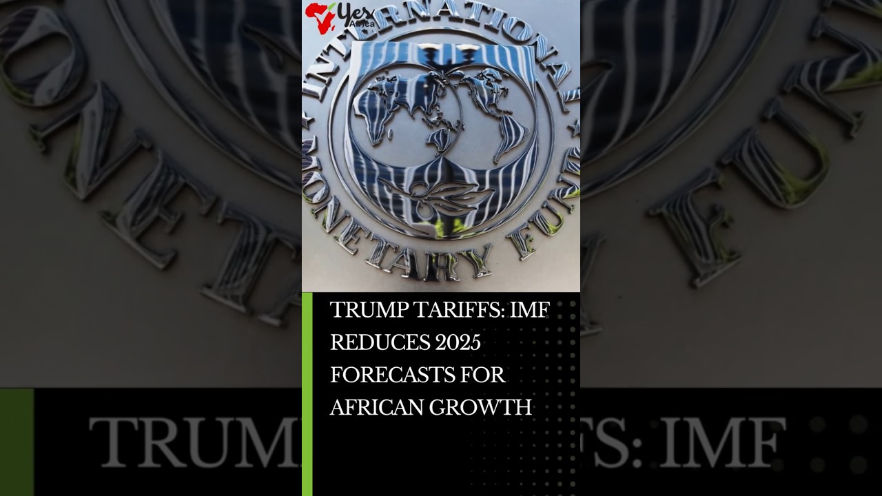 Trump tariffs: IMF reduces 2025 forecasts for African growth