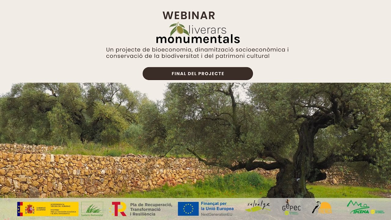 Oliverars monumentals per la biodiversitat