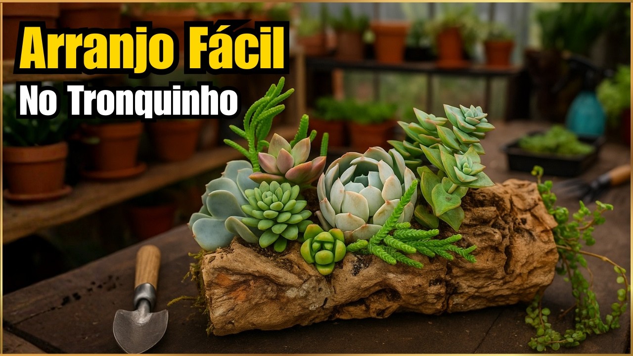 COMO FAZER ARRANJO DE SUCULENTAS NO TRONQUINHO | Passo a Passo Fácil