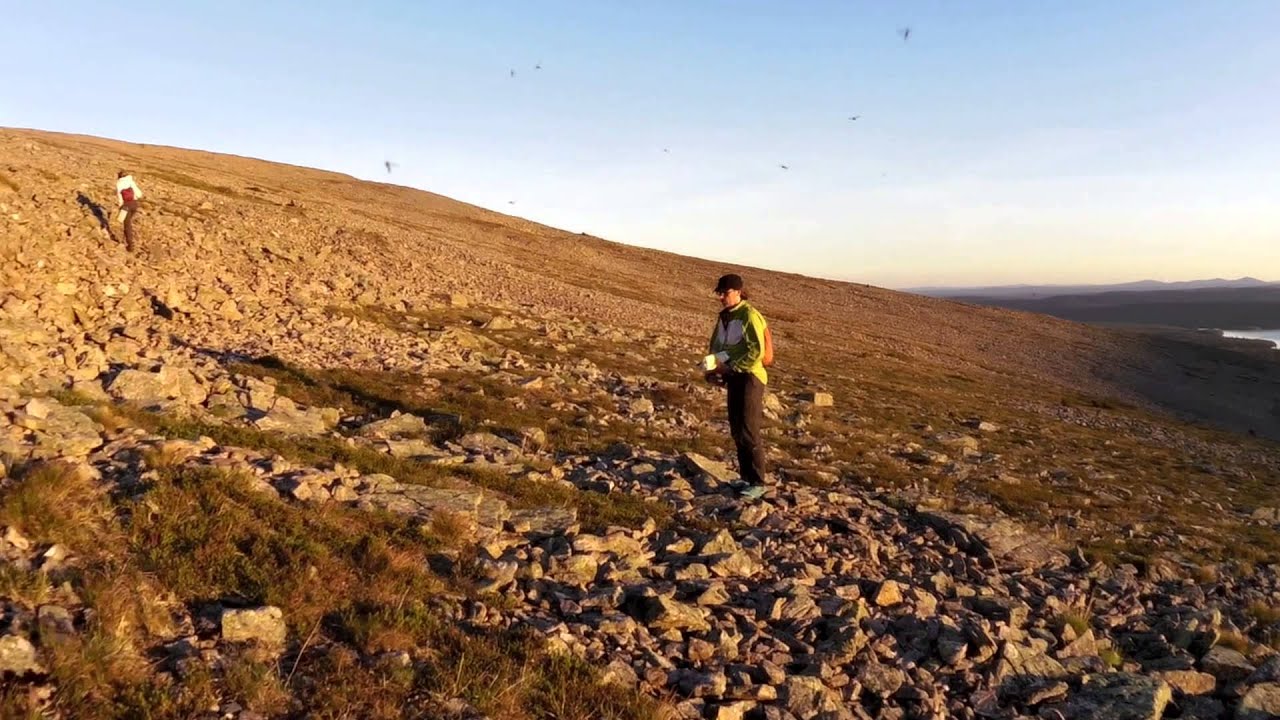 Sokosti Challenge 2014