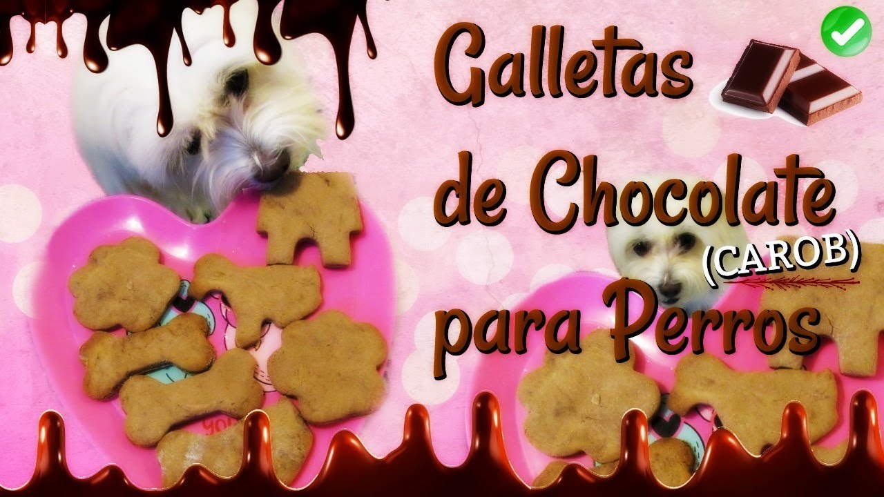 Galletas de CHOCOLATE (Carob) para Perros, Coton de Tulear I Lorentix