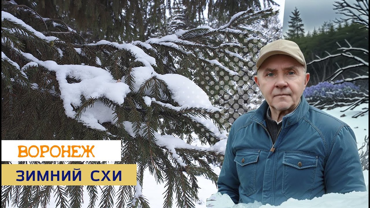 Зимний р-он СХИ, Воронеж 09.02.26г.