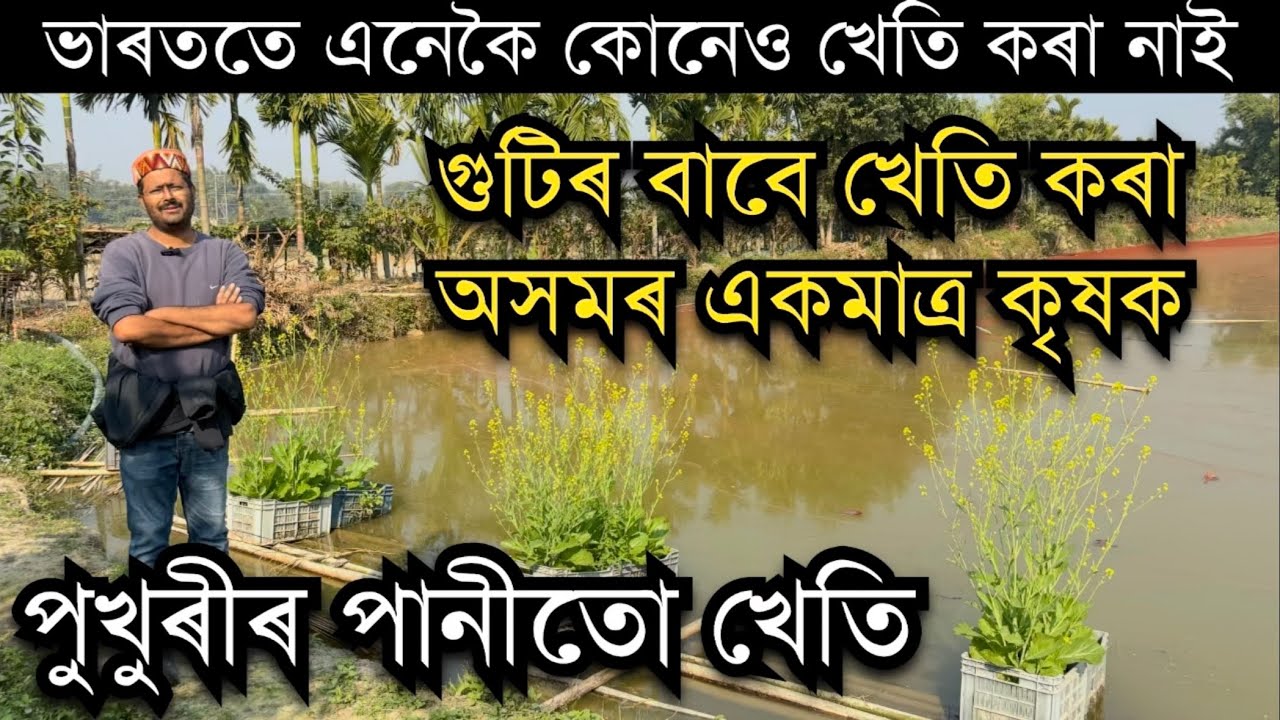 অসমৰ এইজন কৃষকৰ দৰে ভাৰততে এনেকৈ কোনেও খেতি কৰা নাই। Organic farming।Neelam Dutta। Pabhoi Greens। 