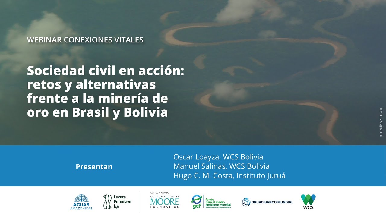 Webinar 