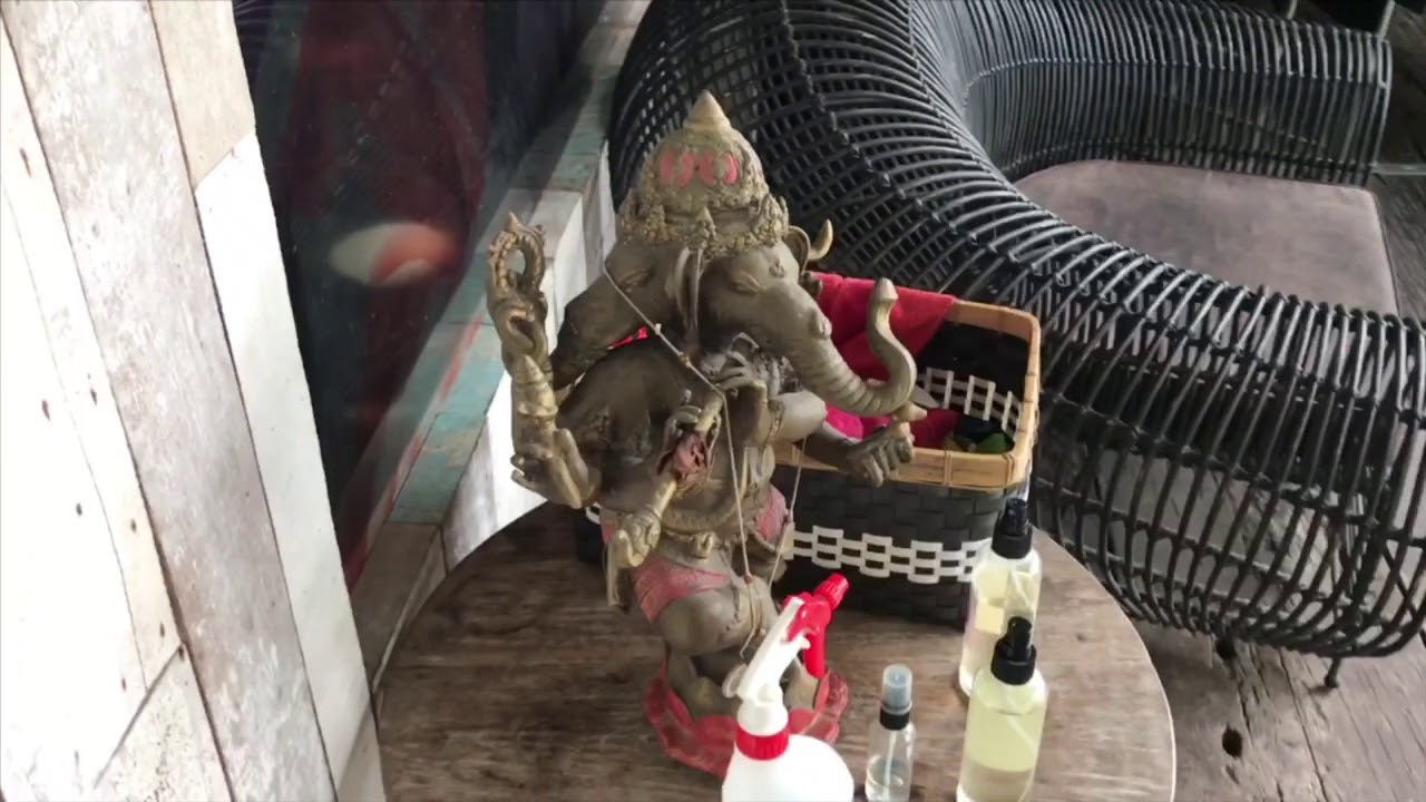 Yoga Studio Tour | Samadi Canggu, Bali | Adventure Yoga with Stephen Ewashkiw