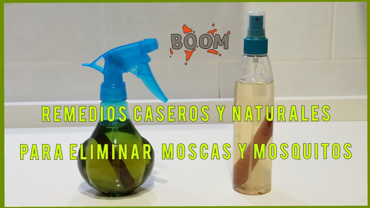 REMEDIOS CASEROS Y NATURALES PARA ELIMINAR MOSCAS Y MOSQUITOS. NO MÁS INSECTICIDAS.